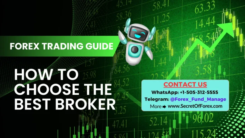 Forex Trading Guide How to Choose the Best Broker