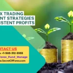 Forex Trading Investment Strategies for Consistent Profits