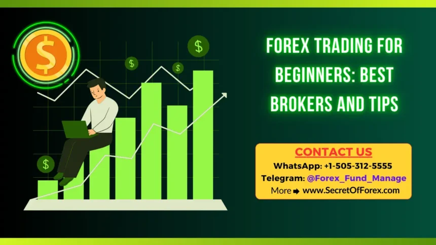 Forex Trading for Beginners Best Brokers and Tips