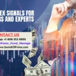 Free Forex Signals for Beginners and Experts