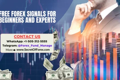 Free Forex Signals for Beginners and Experts