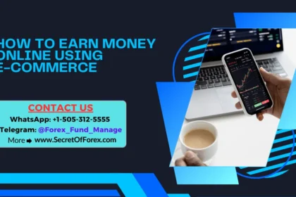 How to Earn Money Online Using E-commerce