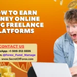 How to Earn Money Online Using Freelance Platforms