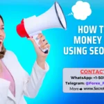How to Earn Money Online Using SEO Skills