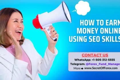 How to Earn Money Online Using SEO Skills