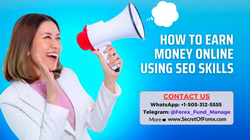 How to Earn Money Online Using SEO Skills