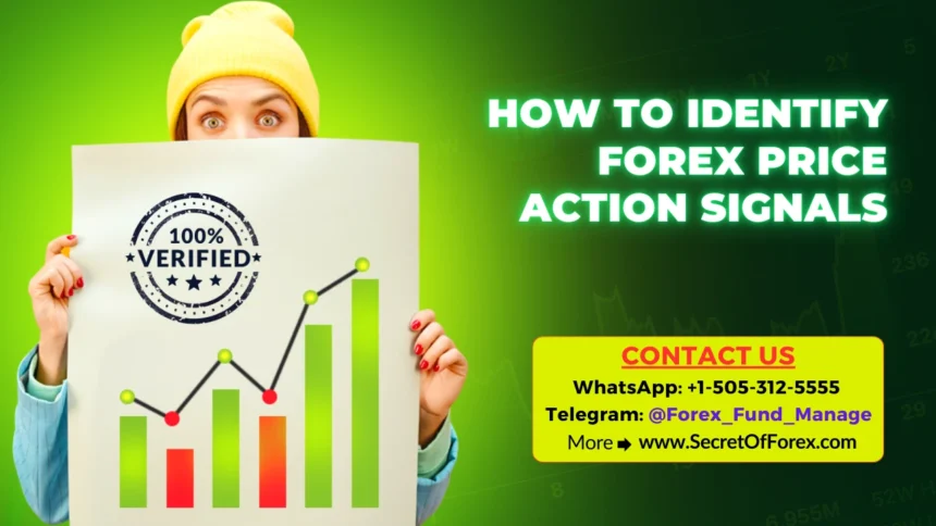 How to Identify Forex Price Action Signals
