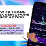 How to Trade Forex Using Pure Price Action