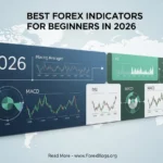 Best Forex Indicators for Beginners in 2026