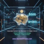 How Much Money Do You Need to Trade Forex